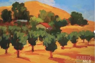 7871 Butts Canyon Rd, Pope Valley, CA 94567 - Photo 30