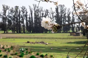 5215 Lakeville Hwy, Petaluma, CA 94954 - Photo 26