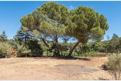 1795 Lovall Valley Road, Sonoma, CA 95476 - Photo 46