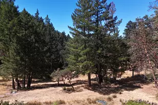 4101 Chinquapin Dr, Willits, CA 95490 - Photo 58