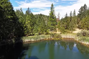 4101 Chinquapin Dr, Willits, CA 95490 - Photo 54