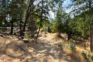 4101 Chinquapin Dr, Willits, CA 95490 - Photo 46