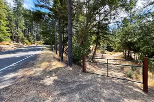 4101 Chinquapin Dr, Willits, CA 95490 - Photo 56