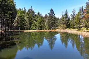 4101 Chinquapin Dr, Willits, CA 95490 - Photo 44