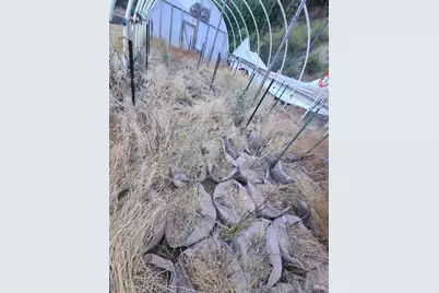 28990 Eel River Ranch Road, Covelo, CA 95428 - Photo 4