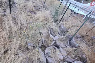 28990 Eel River Ranch Rd, Covelo, CA 95428 - Photo 4