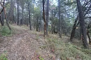 28990 Eel River Ranch Rd, Covelo, CA 95428 - Photo 1