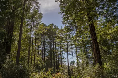 35261 Windsong Lane, The Sea Ranch, CA 95497 - Photo 8