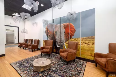 11 5th Street, Petaluma, CA 94952 - Photo 4