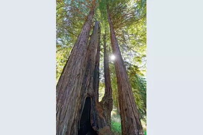 20205 Tumbling McD Road, Philo, CA 95466 - Photo 70