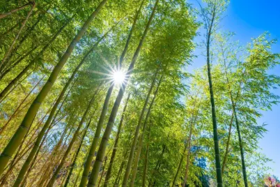 20205 Tumbling McD Road, Philo, CA 95466 - Photo 62