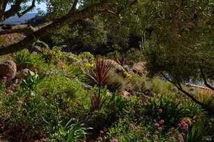 2700 Atlas Peak Rd, Napa, CA 94558 - Photo 66