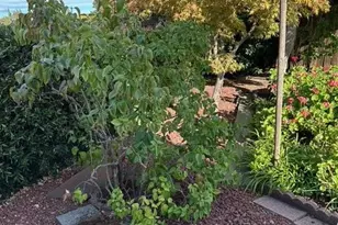 132 Cabana Dr, Napa, CA 94558 - Photo 28