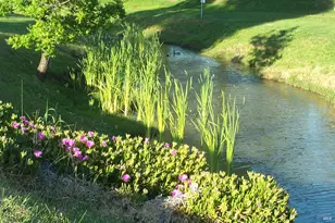 212 Valencia Dr, Fairfield, CA 94533 - Photo 54