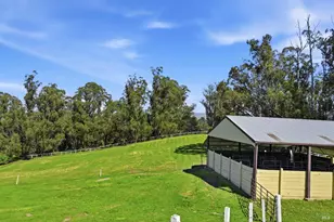 411 Highland Ave, Penngrove, CA 94951 - Photo 6