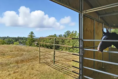 411 Highland Avenue, Penngrove, CA 94951 - Photo 16