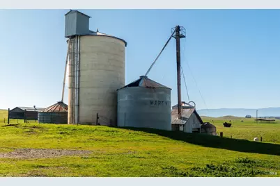 17775 Long Hollow Road, Corning, CA 96021 - Photo 24