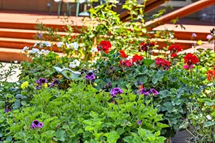 2487 Olivet Rd, Santa Rosa, CA 95401 - Photo 36