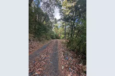 59002 George Washington Rock Road, Leggett, CA 95585 - Photo 10