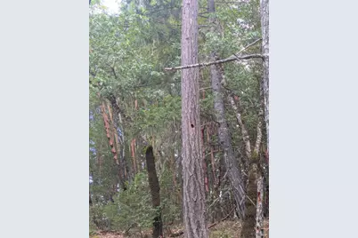 59002 George Washington Rock Road, Leggett, CA 95585 - Photo 24