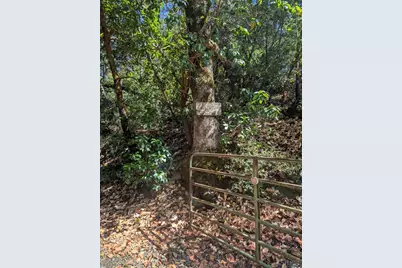 59002 George Washington Rock Road, Leggett, CA 95585 - Photo 6