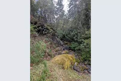 59002 George Washington Rock Road, Leggett, CA 95585 - Photo 38