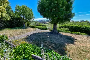 541 Mason St, Healdsburg, CA 95448 - Photo 20