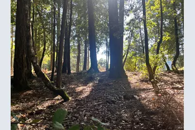 25201 Sherwood Road, Willits, CA 95490 - Photo 4