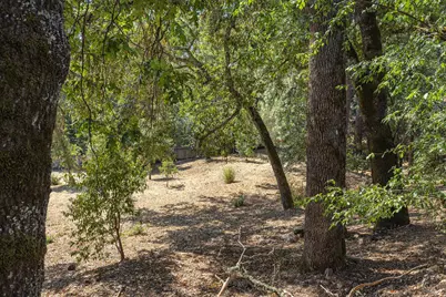 525 Keyes Avenue, Angwin, CA 94508 - Photo 42