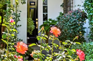 17 Young Ct, Napa, CA 94558 - Photo 32