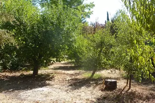 548 Milani Dr, Ukiah, CA 95482 - Photo 34