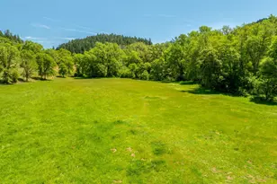 3901 Canyon Rd, Willits, CA 95490 - Photo 26