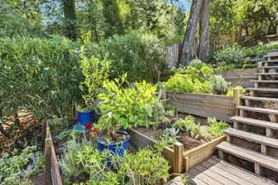 110 Alta Ave, Lagunitas, CA 94938 - Photo 36