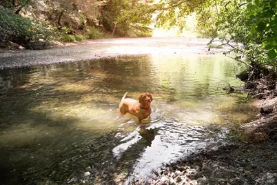 1500 Old Cazadero Road, Cazadero, CA 95421 - Photo 40