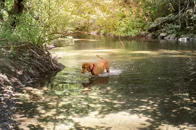 1500 Old Cazadero Road, Cazadero, CA 95421 - Photo 42