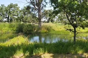 6060 Oak Ave, Cotati, CA 94931 - Photo 22