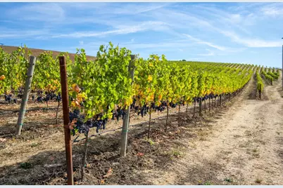 3800 Jameson Canyon Road, Napa, CA 94558 - Photo 16