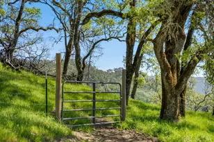 95 Longhorn Ridge Rd, Napa, CA 94558 - Photo 28