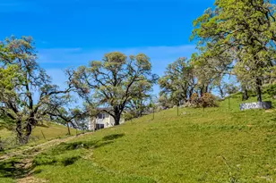 95 Longhorn Ridge Rd, Napa, CA 94558 - Photo 6