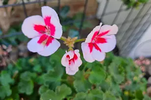 8 San Lucas Ct, Saint Helena, CA 94574 - Photo 26