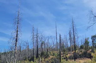 6998 Pine Rd, Lucerne, CA 95458 - Photo 1