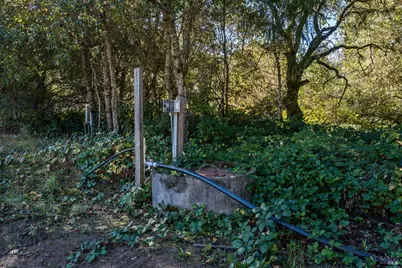 7680 Highway 128 Highway, Philo, CA 95466 - Photo 56