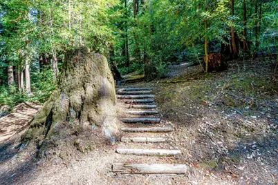 4350 Cazadero Highway, Cazadero, CA 95421 - Photo 58