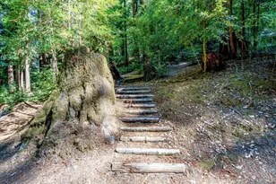 4350 Cazadero Hwy, Cazadero, CA 95421 - Photo 58