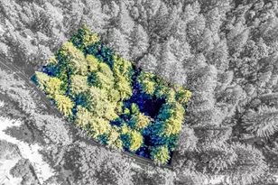 4350 Cazadero Hwy, Cazadero, CA 95421 - Photo 46