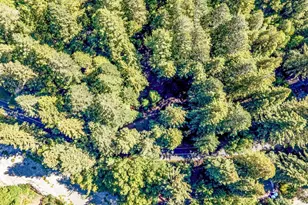 4350 Cazadero Hwy, Cazadero, CA 95421 - Photo 50