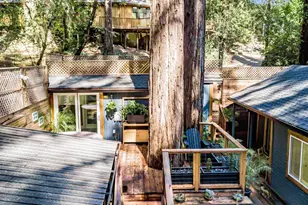 123 Redwood Ave, Camp Meeker, CA 95419 - Photo 34