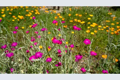 4020 Madera Avenue, Santa Rosa, CA 95407 - Photo 26