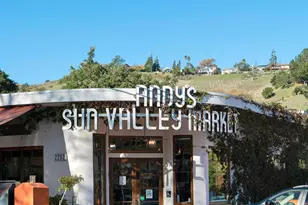 226 Bayview St, San Rafael, CA 94901 - Photo 56