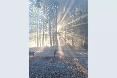 4020 Ridge Circle, Willits, CA 95490 - Photo 6